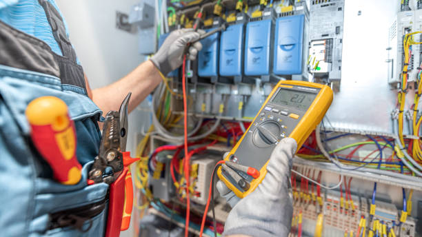Best Electric Panel Repair  in Dolton, IL