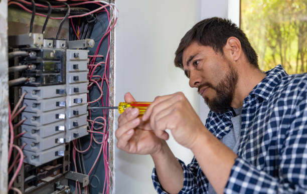 Best Ceiling Fan Installation Electrician  in Dolton, IL